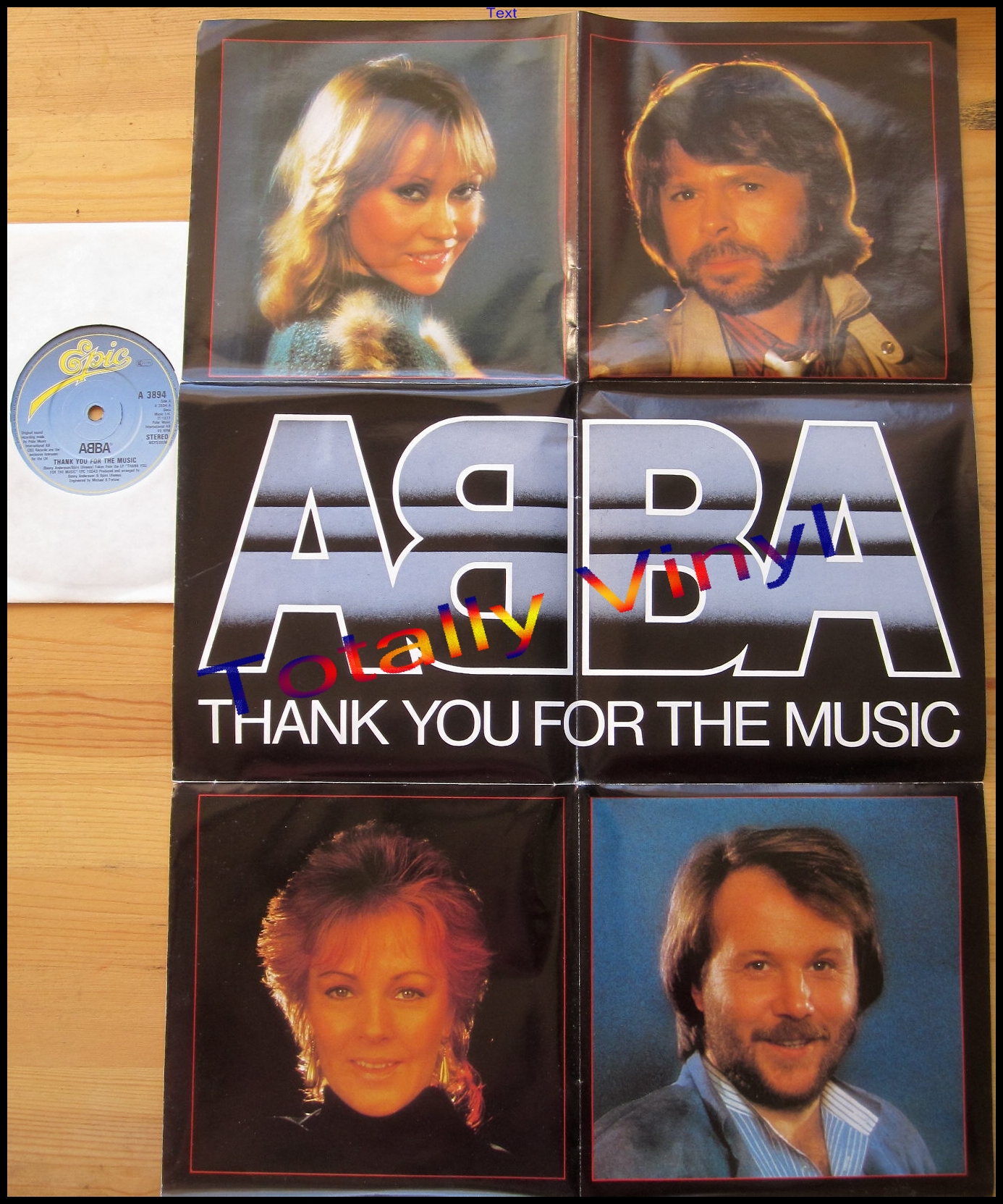 Totally Vinyl Records Abba Thank You For The Music Our Last Summer 7 Inch Poster Sleeve