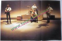 View Item